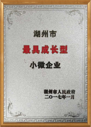 具成長型小微企業