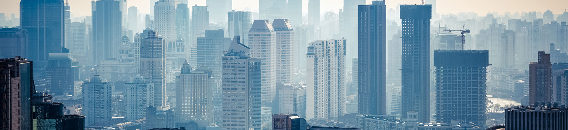案例展示